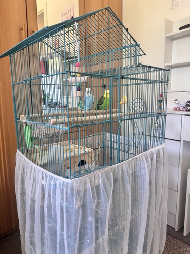 Vogelkäfig für