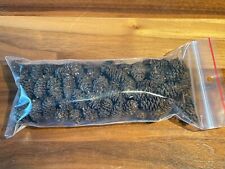 100 Erlenzapfen, Schwarzwasser, Aquarium, Terrarium, Garnelen, Welse, Fische