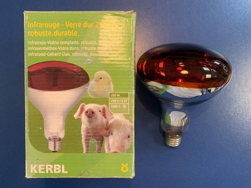 Infrarot lampe r125 - infrarot,