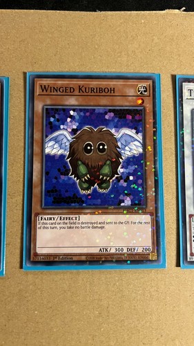 Geflügelter kuriboh - geflügelter,