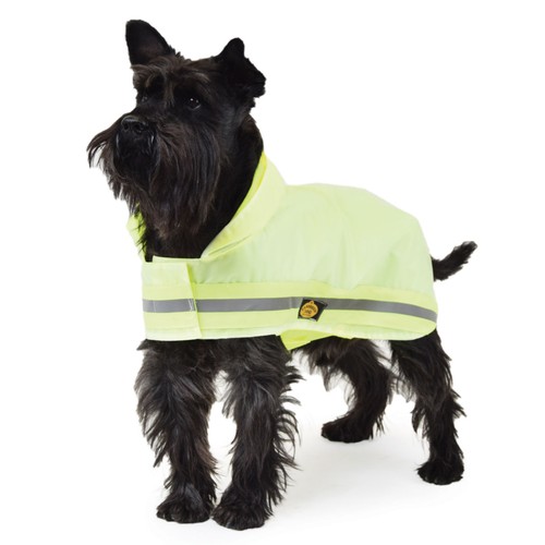 Fashion dog reflektierender - dog,