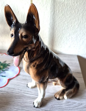 Deutscher Schäferhund aus