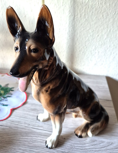Deutscher schäferhund aus - schäferhund,
