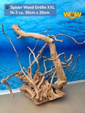 👋XXL Moorkien - Spiderwood