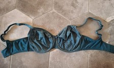 Rosa Faia Rosemary BH 75G Grün