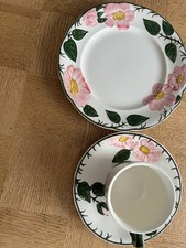Villeroy & Boch Wild-Rose