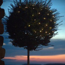 40er LED-Lichternetz mit