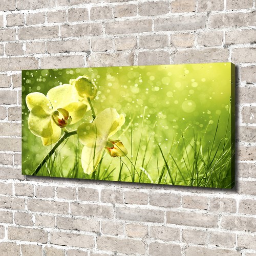 Leinwandbild kunst druck - leinwandbild, kunst-druck