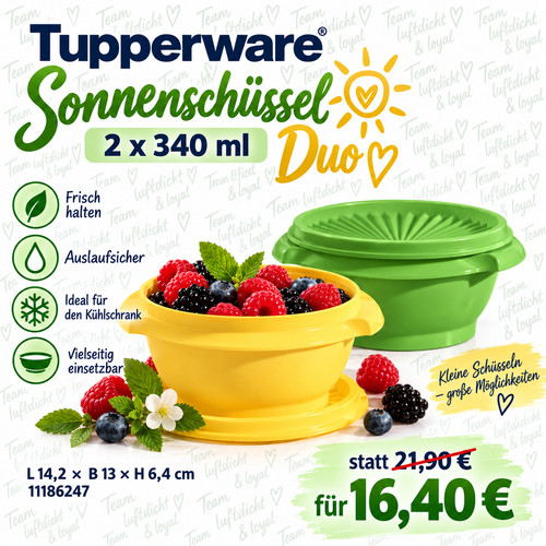 Tupperware kleine
