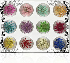 Nagelstudio trockenblumen set - nagelstudio,