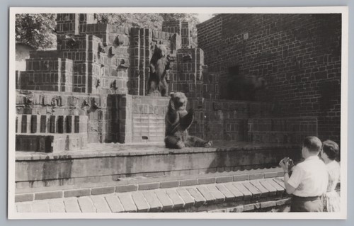 Leipzig 1960 zoo bären - 3,