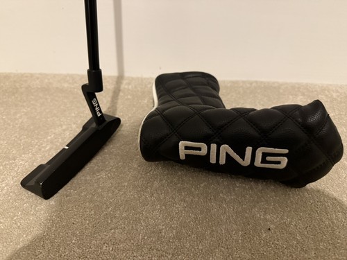 Ping 2023 anser - anser, 2d