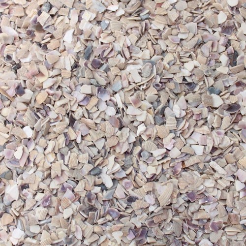 1kg muschelgranulat echte - 1kg,