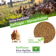 Hochwertiges Körnerfutter