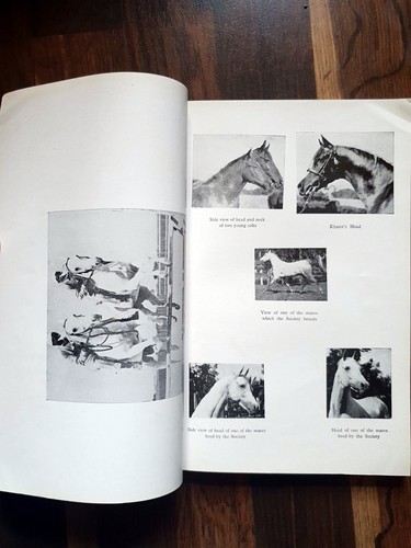 1948 history the ras stud - 1948, of