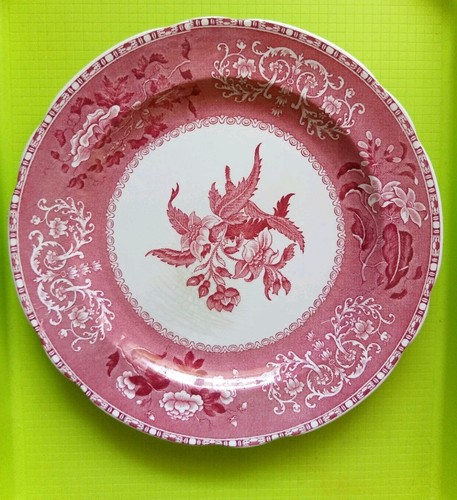 Speiseteller groß spode - speiseteller,