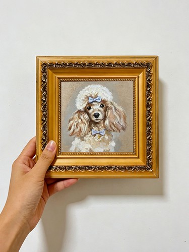 Süßer pudel hund - pudel,
