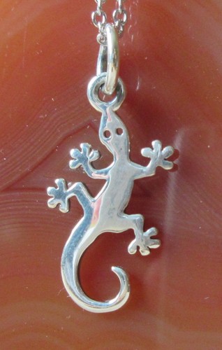 Salamander gecko eidechse - kx,