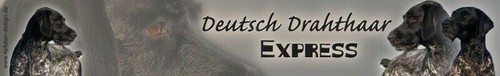 Deutsch drahthaar sticker - deutsch,