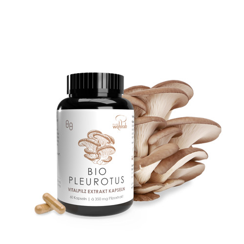 Pilze wohlrab pleurotus - pilze,
