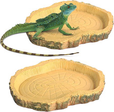Stücke landschildkröten - stücke,