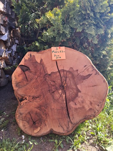 Xxl baumscheibe buche - ,