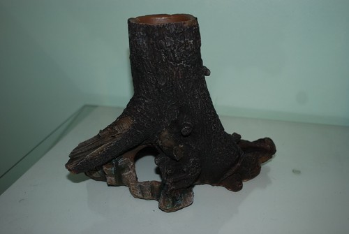 Vivarium tropferscheit 6 - tropferscheit, x