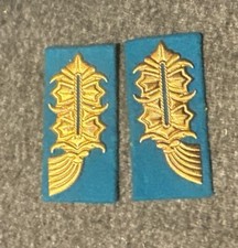 DDR NVA Kragenspiegel General