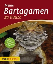 Bartagamen hause von - zu,