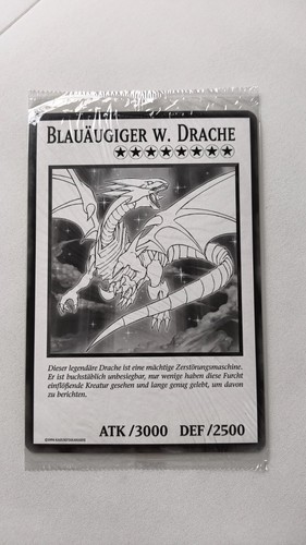 Blauäugiger - yu,