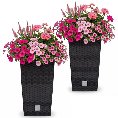 Prosperplast blumentopf mit - prosperplast, 2x