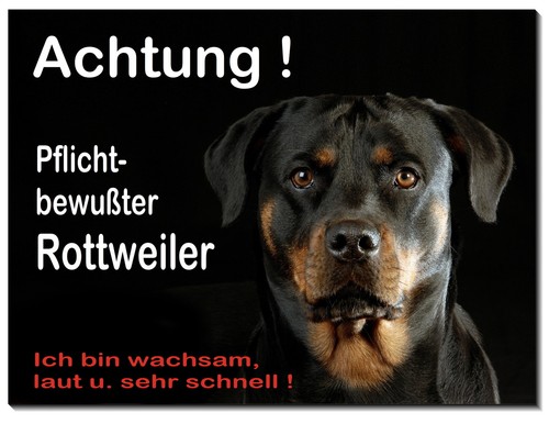 Rottweiler-Hund-Aluminium-Schi