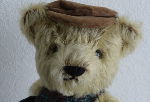 Teddybär sammler stofftier - teddybär,