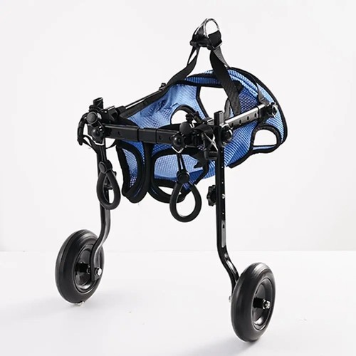 Hunde rollstuhl hinterbeine - hunde,