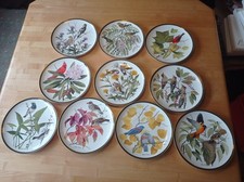 Singvögel der Welt - 10 Porzellanteller
