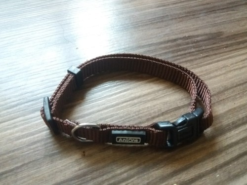 Halsband hund katze braun - hund,