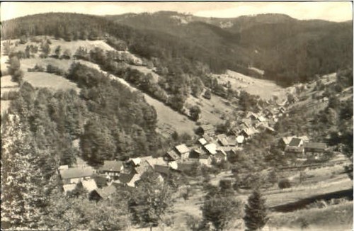 Goldlauter 1965 - goldlauter,
