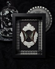 Echter Schmetterling Graphium