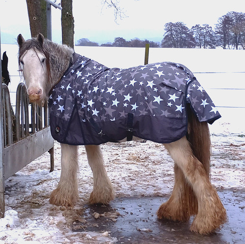 Hkm highneck weidedecke - hkm,
