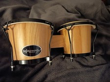 Zwei kleine Trommeln, ein großes Rhythmus-Abenteuer! (Bongos suchen neues Heim)