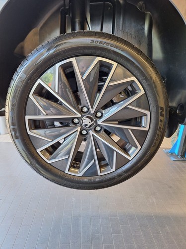 Nexen fera su1 - nexen,