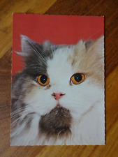 alte Postkarte Motivkarte