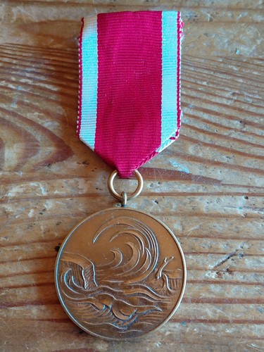 Sturmflut medaille 1962 - sturmflut-medaille,