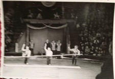 Zirkus Artisten Artistik