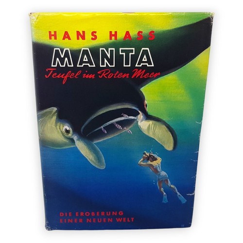 Manta teufel roten meer - manta, im