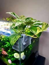 Aquarium Pflanzenkorb zum Einhängen | Höhenverstellbar für Überwasserwuchs