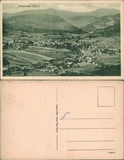 Ansichtskarte Bodenmais Stadtblick 1923