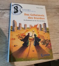 Das Geheimnis des Druiden: Ein