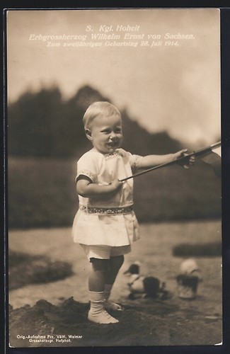 Erbgrossherzog wilhelm ernst - erbgrossherzog,