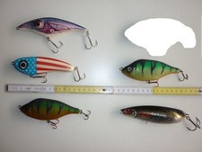Jerkbait Set  Fox Rage Hitcher - Zalt Z - Rapala X-Rap Scoop - Hecht Angeln Jerk